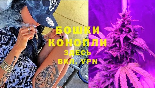 ГАЛЛЮЦИНОГЕННЫЕ ГРИБЫ Балабаново