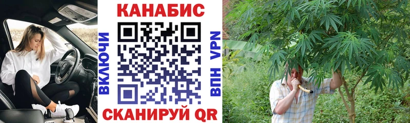 цены Голицыно Канабис SATIVA & INDICA